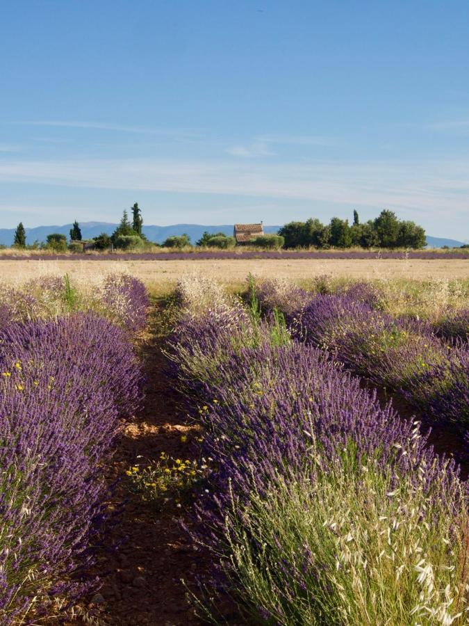 Oasis Tranquille - L'Evasion Au Verdon Греу-ле-Бен Екстер'єр фото
