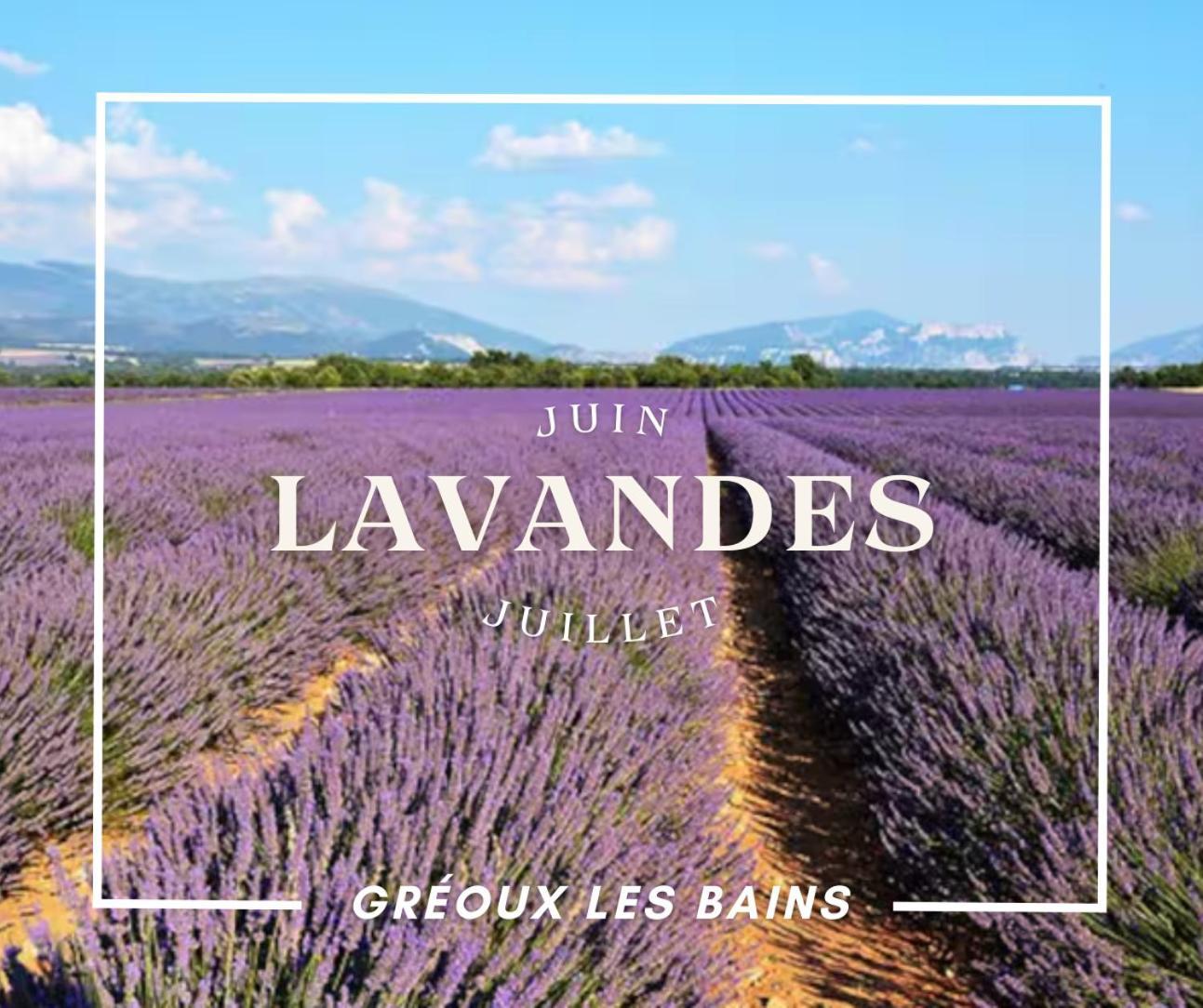 Oasis Tranquille - L'Evasion Au Verdon Греу-ле-Бен Екстер'єр фото